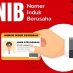 cara membuat NIB