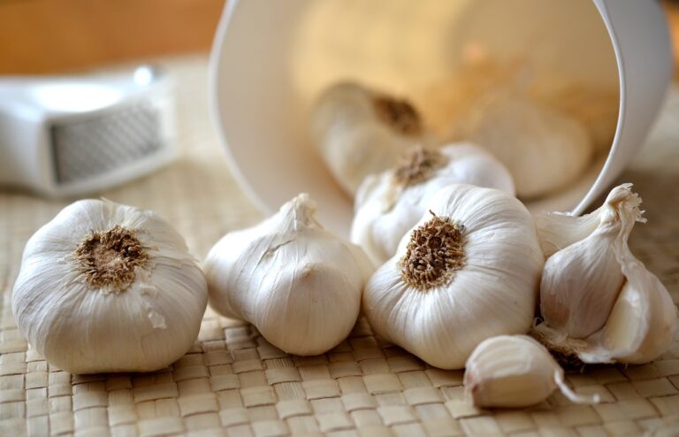 manfaat bawang putih
