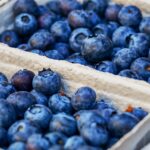 manfaat blueberry