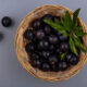 acai berry