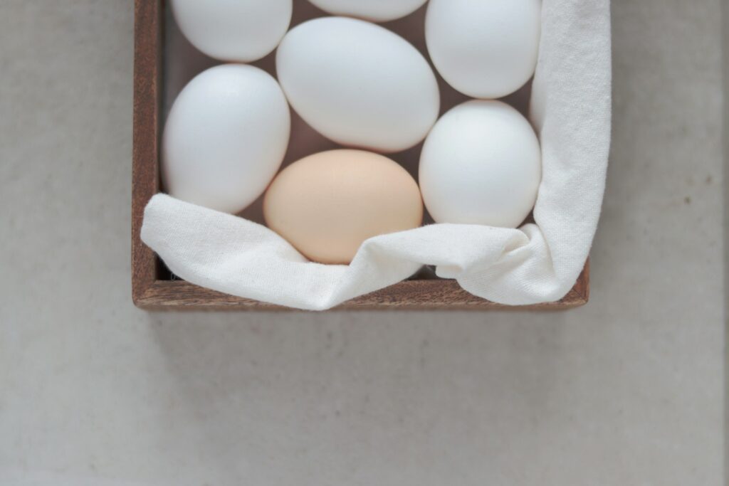 tips menyimpan telur
