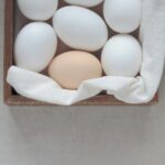 tips menyimpan telur