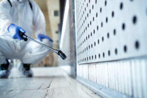jasa pest control