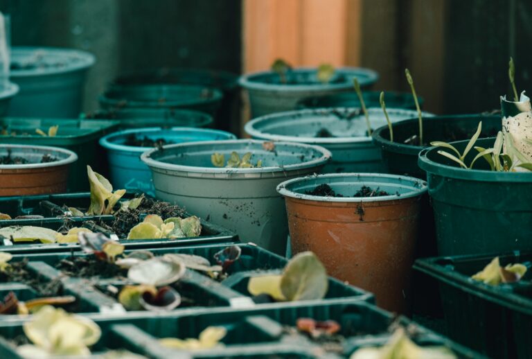 cara mengelola sampah