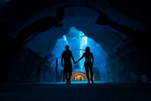 aquarium date